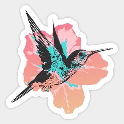 Hummingbird Tekli Sticker