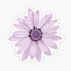 Purple Daisy Tekli Sticker
