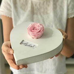 PEMBE SOLMAYAN GÜL – FOREVER KOLEKSİYONU