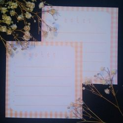 10lu turuncu notepad seti