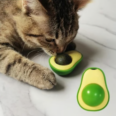 Kedi Catnip Avokado