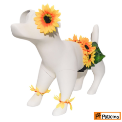 Paticino -MODEL NO:2104 CELEBRATION-SUNFLOWER