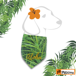 Paticino - "Aloha " Bandana-Tasma