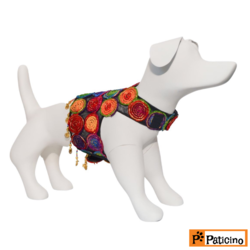 Paticino -MODEL NO:2102 CELEBRATION-AUTHENTIC