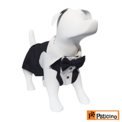 Paticino -MODEL NO:2106 CELEBRATION-TUX
