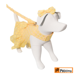 Paticino - MODEL NO:2103 CELEBRATION-SPOTTY