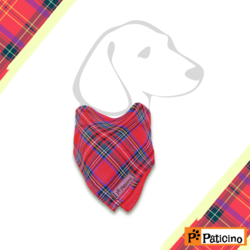 Paticino - "Kırmızı Ekose " Bandana-Tasma