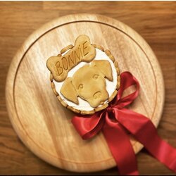 Patissimo - Labrador & Golden Pastası