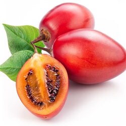 Tamarillo Tohumu 