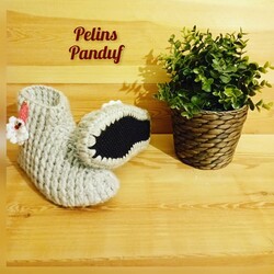 Panduf Ev Botu