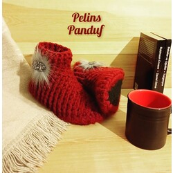 Panduf Ev Botu