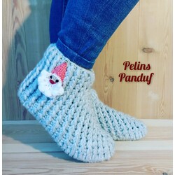 Panduf Ev Botu