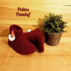 Panduf Ev Botu