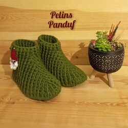 Panduf Ev Botu