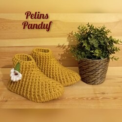 Panduf Ev Botu