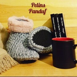 Panduf Ev Botu