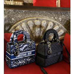 Christion Dior Dokuma Lady