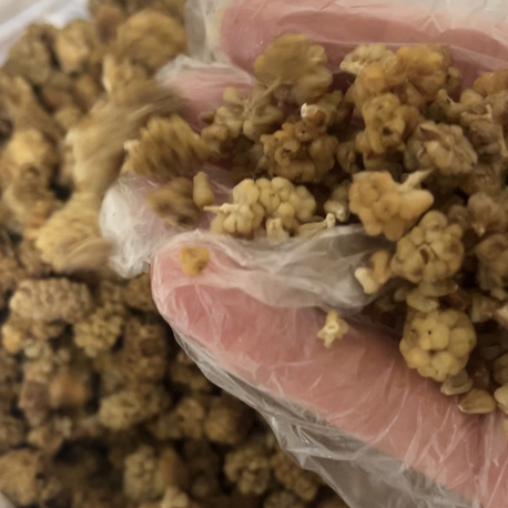 Kuru Dut 500 gr 