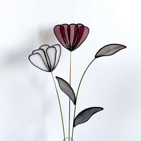 Rose no.1