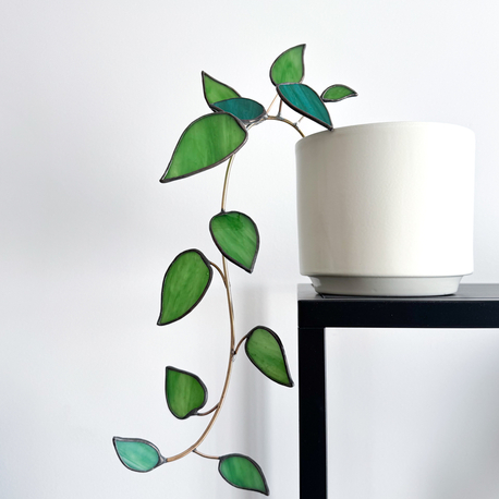 Ivy