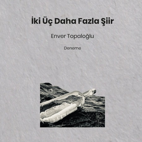 Enver Topaloğlu - İki Üç Daha Fazla Şiir