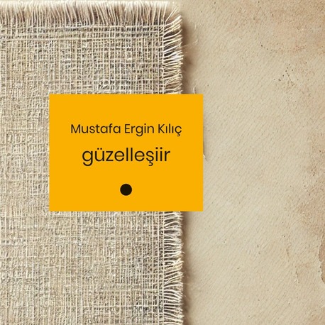 Mustafa Ergin Kılıç - Güzelleşiir