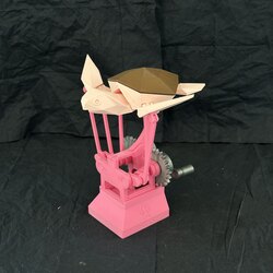 Toz pembe uçak kaplumbağa