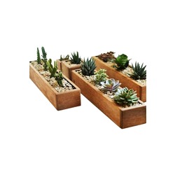 Plania Dekoratif Geniş Sukulent Saksısı 40x12x8(h)