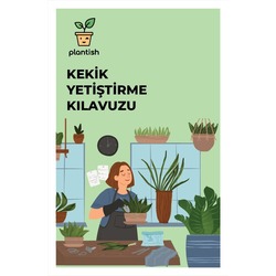 Organik Kekik Yetiştirme Kiti