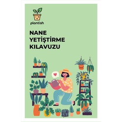 Organik Nane Yetiştirme Kiti