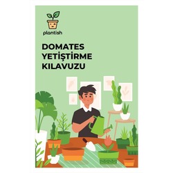 Organik Kiraz Domates Yetiştirme Kiti