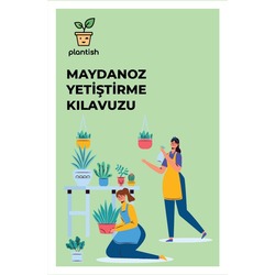 Organik Maydanoz Yetiştirme Kiti