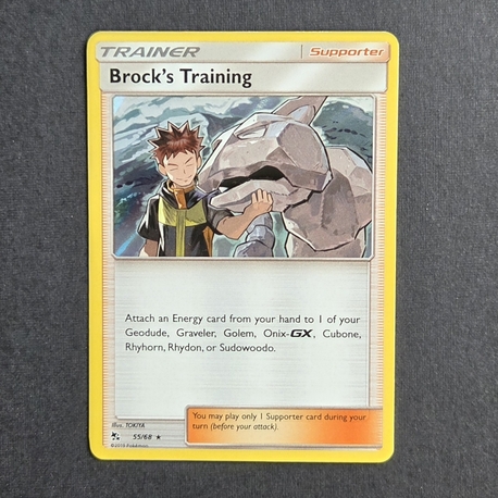 Brock's Training Holo