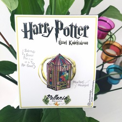 Bertie Beans | HP Collection