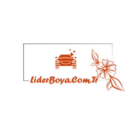 LiderBoya.Com.Tr - Domain Name