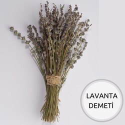 Lavanta Demeti