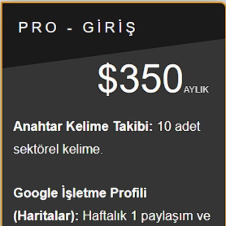 Pro - Giriş