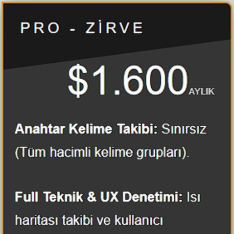 Pro Zirve