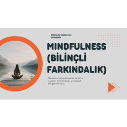 Mindfulness (Bilinçli Farkındalık) Online Gelişim Kursu + E-Kitap