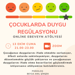 ÇOCUKLARDA DUYGU REGÜLASYONU EĞİTİMİ-  13 EKİM ATÖLYE KAYDI