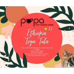 Ethiopia Tega Tula / *87 puan / 250gr