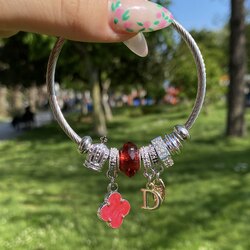 Çelik Kırmızı Dior Pandora