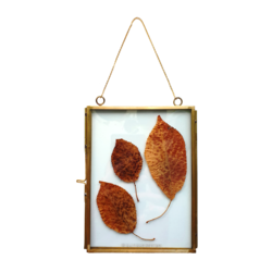 Leaf02