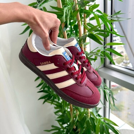 Samba bordo