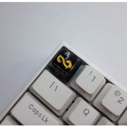 Eternal Fire Gold Dragon RMR 2024 Oem