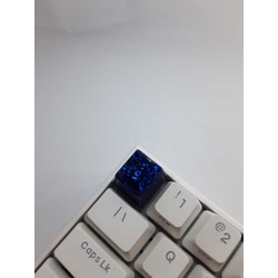 Exclusive parliament blue