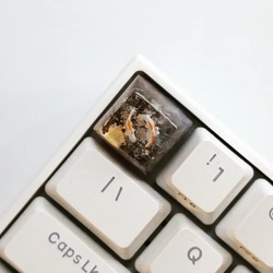 SA Profile koi yellow black keycap