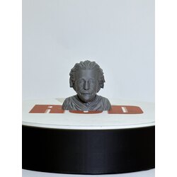 albert einstein büstü
