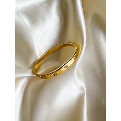 Cartier çelik takı