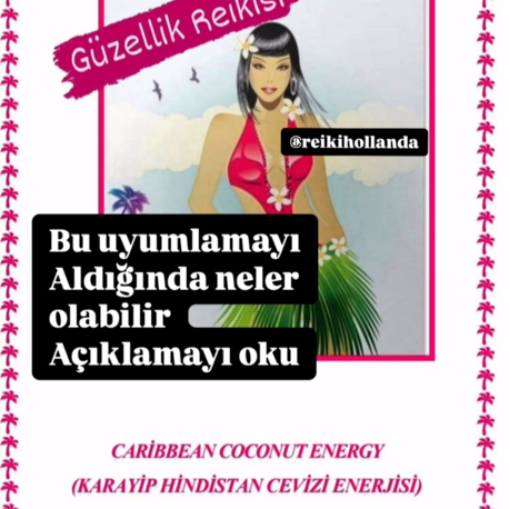 KARAYİP HİNDİSTAN CEVİZİ REİKİ